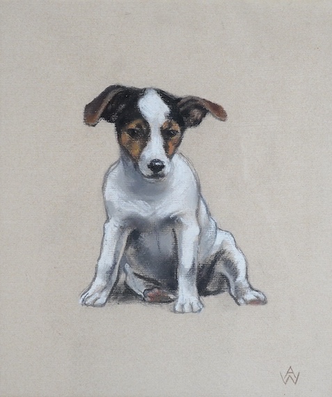 20th century pastel, Study of a seated terrier, bears initials AW, 26 x 23cm. Condition - good